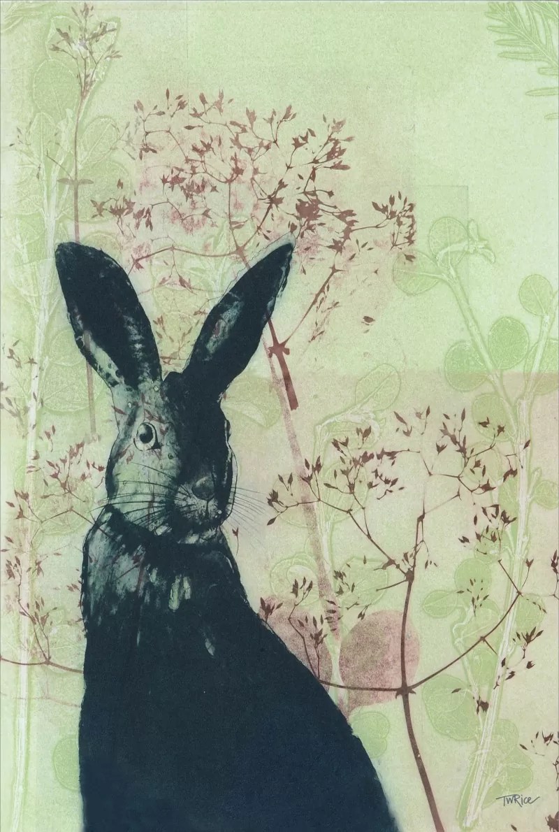 TEA TOWEL WILD RABBIT KE Design Gift & Home