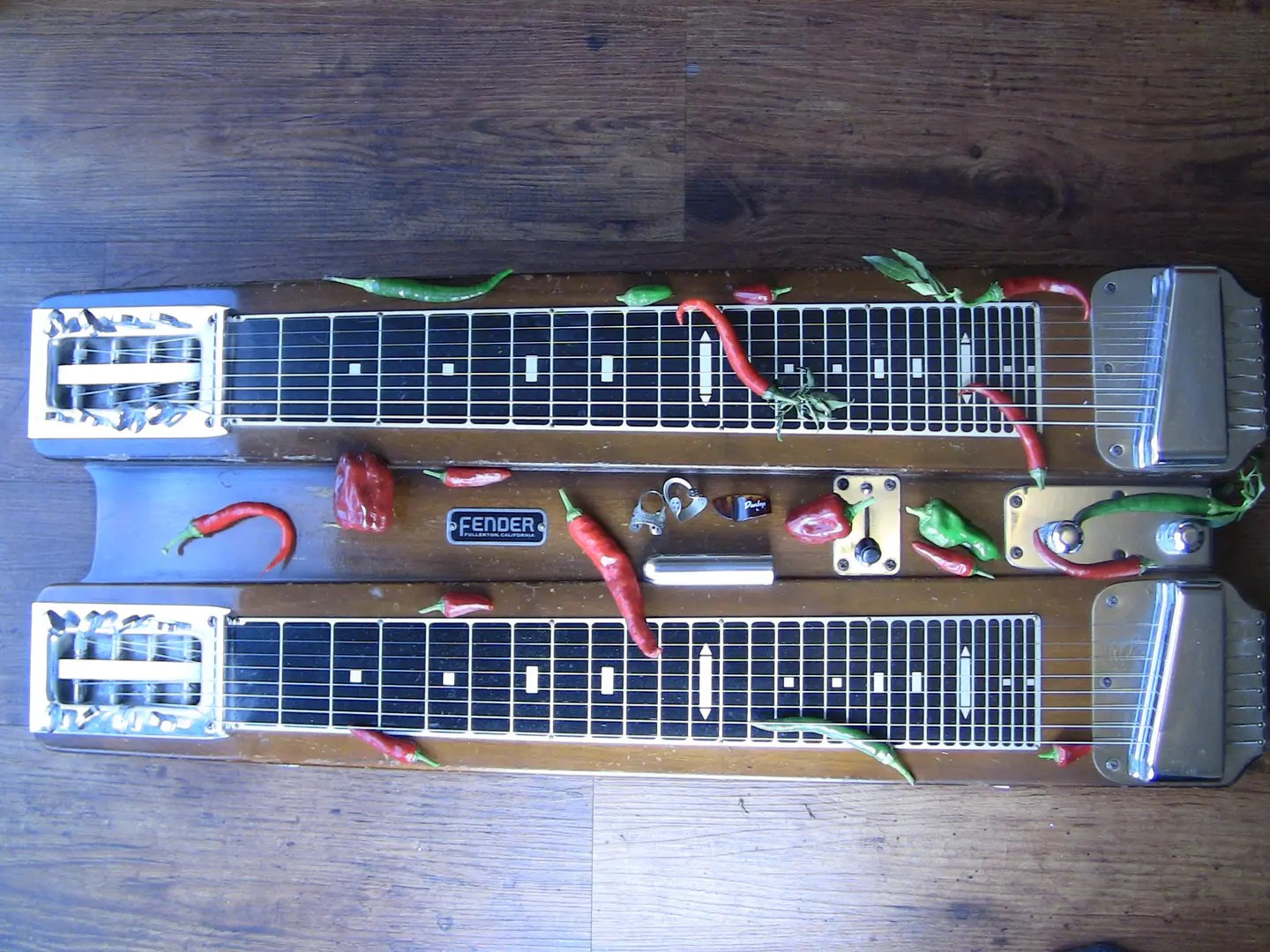 Lap Steel and Dobro Keith Wilson