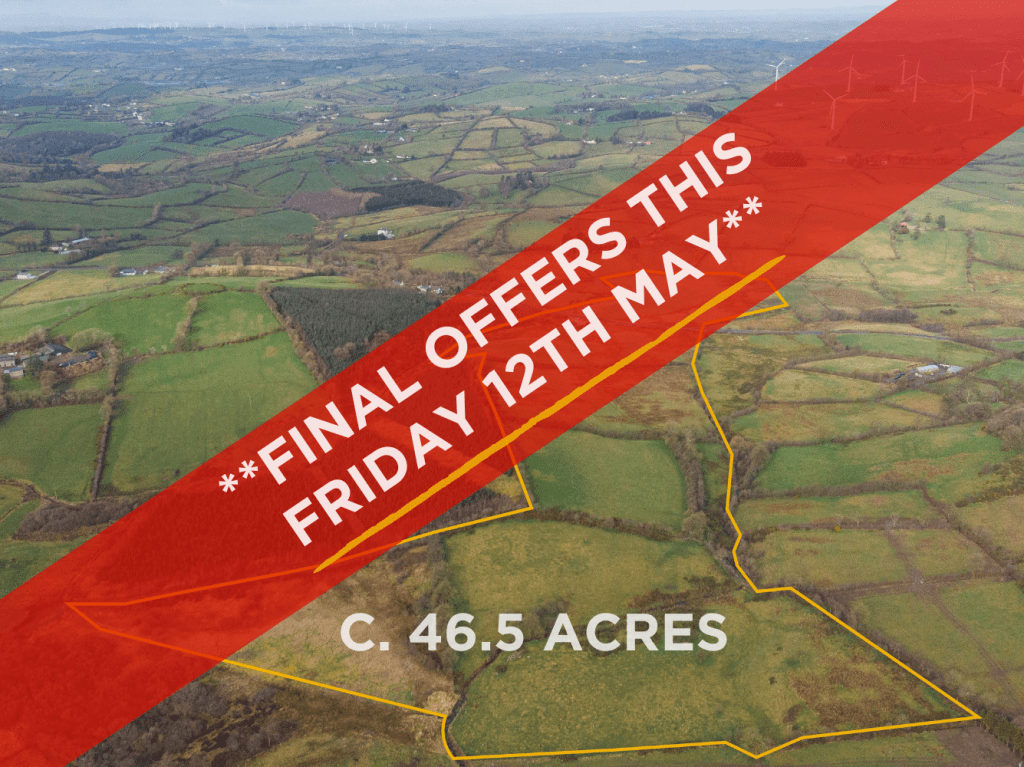 Keenan Auctioneers Cavan Estate Agents and Auctioneers