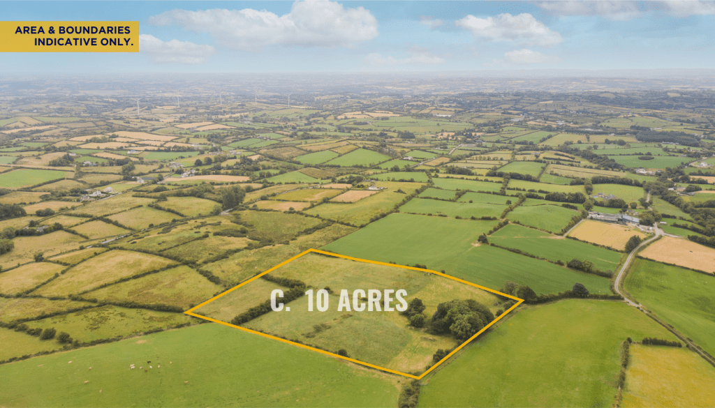 Keenan Auctioneers Cavan Estate Agents and Auctioneers