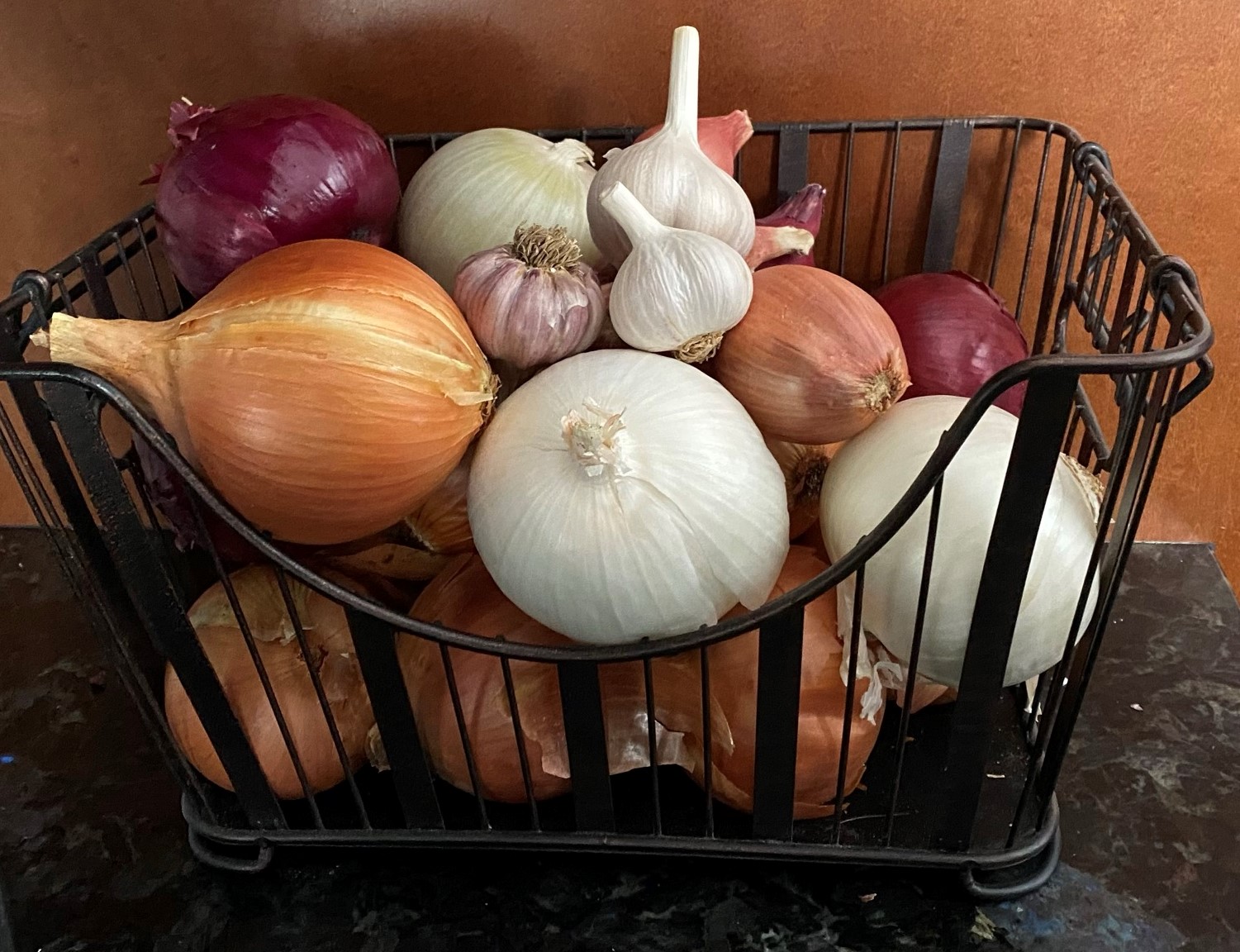 Onion & Shallot Collection Plants Certified Organic Keene Garlic