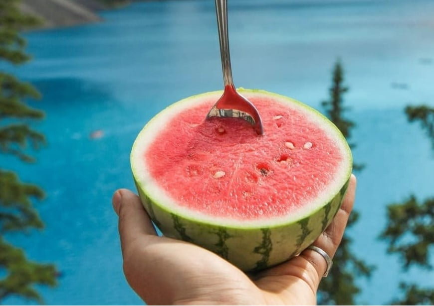 Find Out Whether your Betta Fish Can Eat Watermelon Today