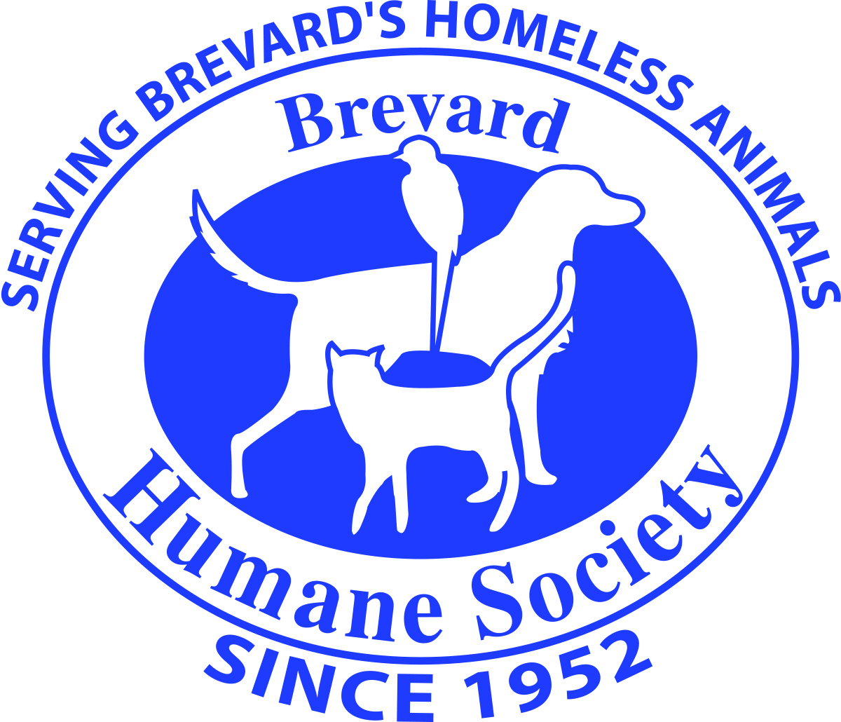 Events for August 2024 Keep Brevard Beautiful Florida