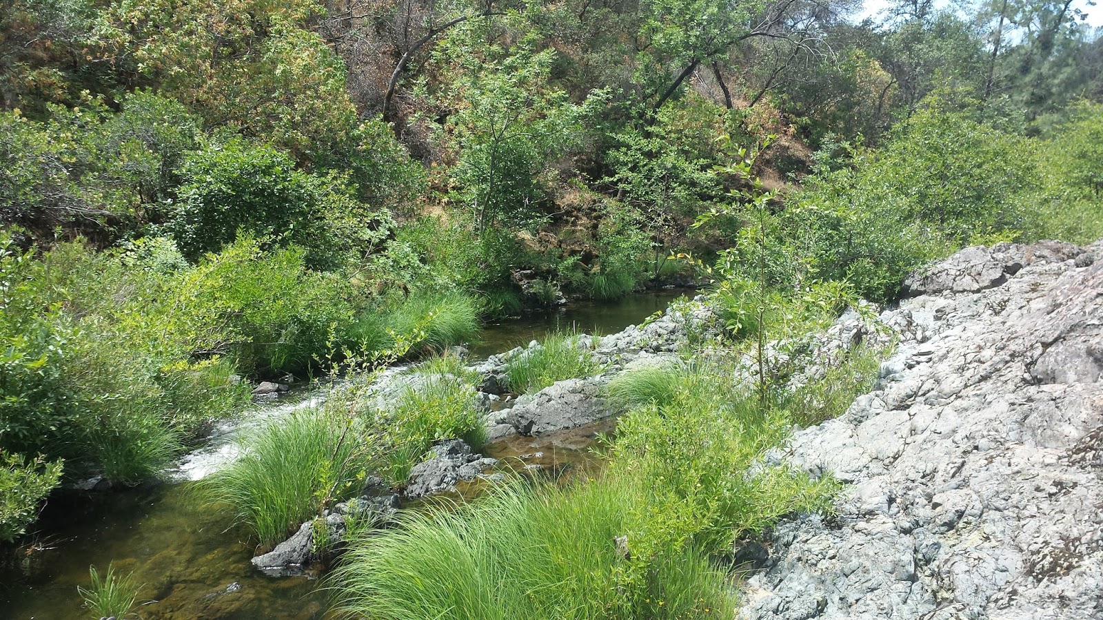 Beale Falls & Dry Creek Hike Keep Calm and Fly Fish