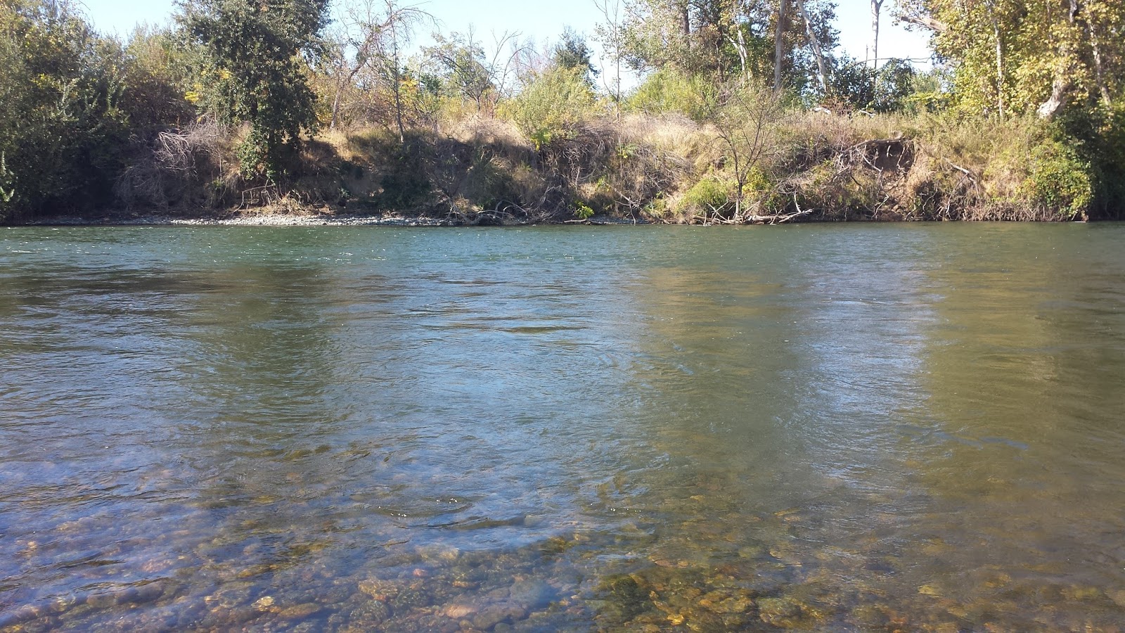 First Rainfall Of Autumn Keep Calm and Fly Fish