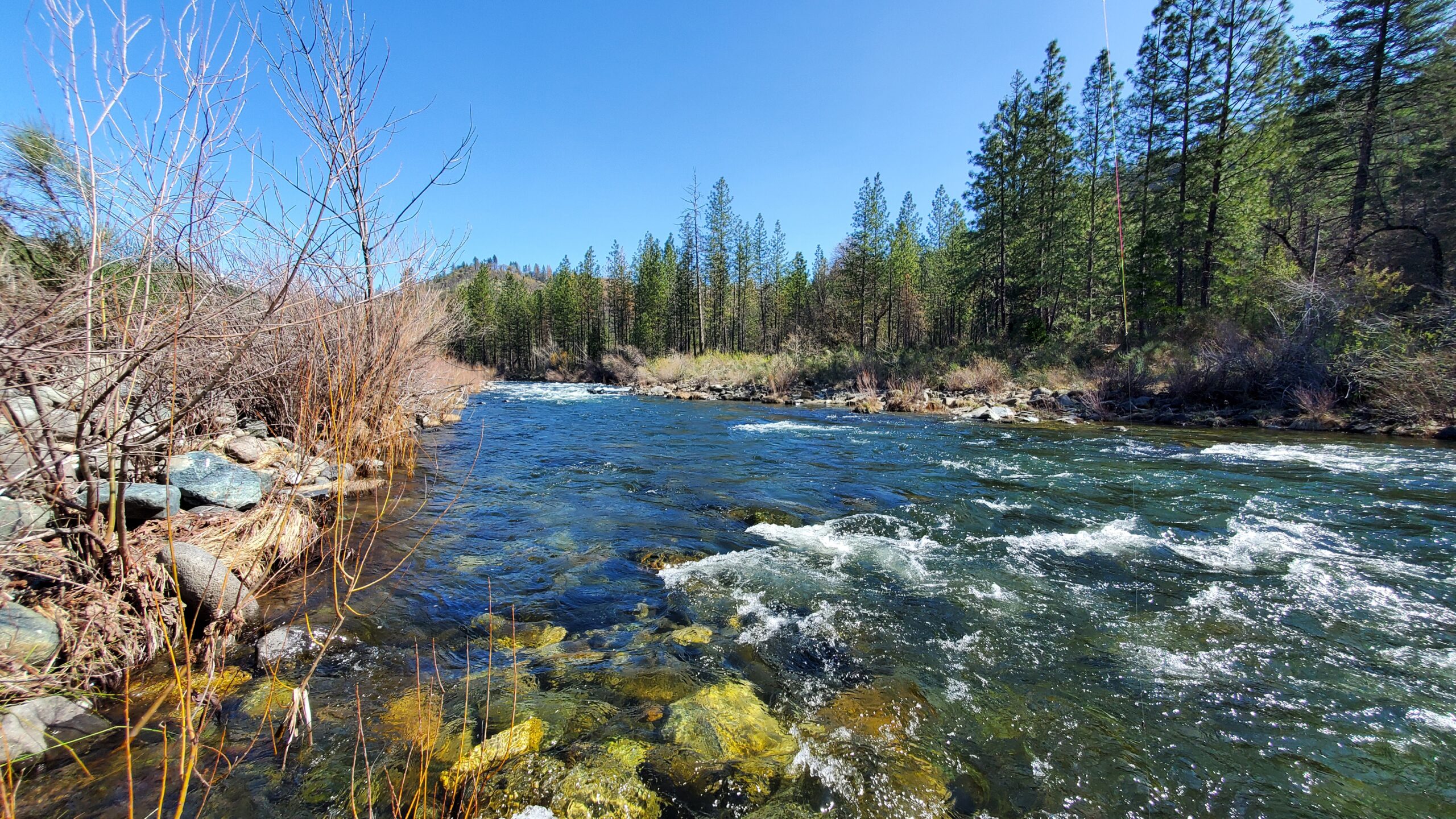 First Upper Sacramento River Trip Keep Calm and Fly Fish