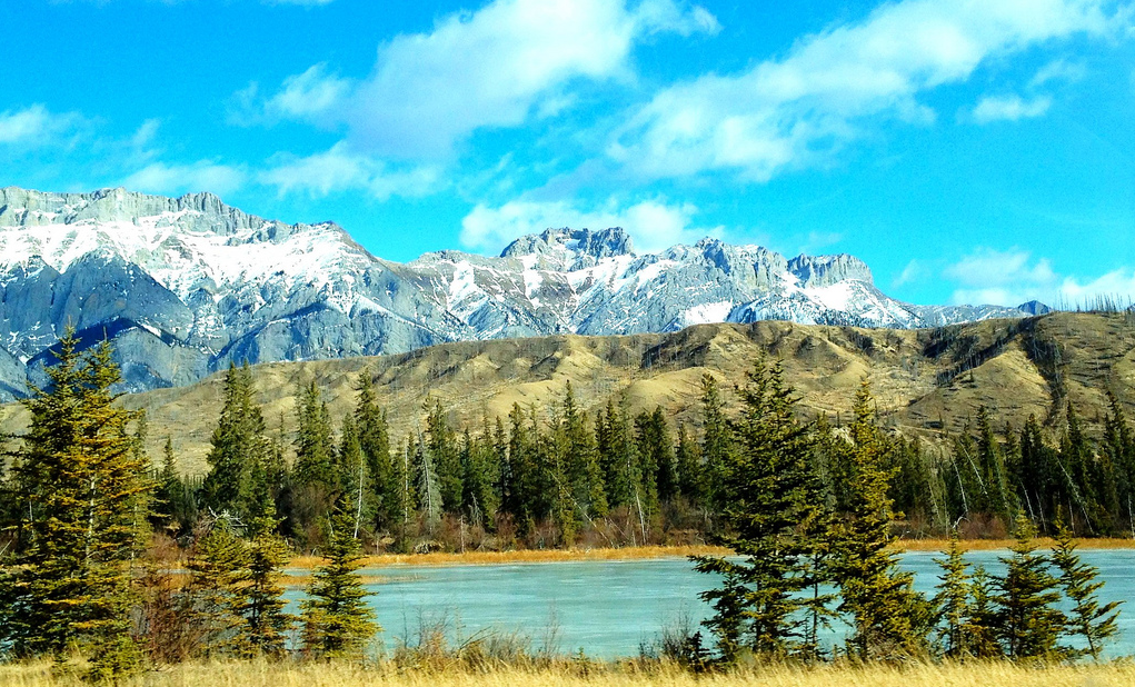 7 Edmontonarea hot spots for trout, walleye and more