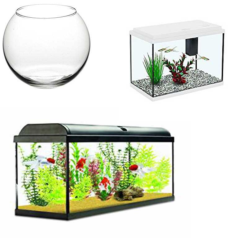 Shop Pet Fish Supplies UK Keeping Fish