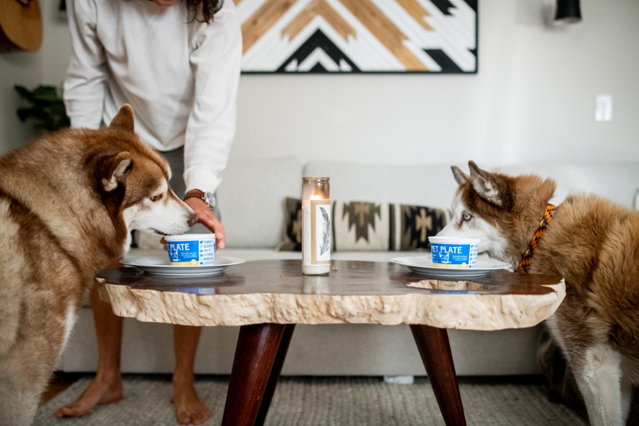 From Physics to Pet Food Pet Plate Founder Chases Big Dreams