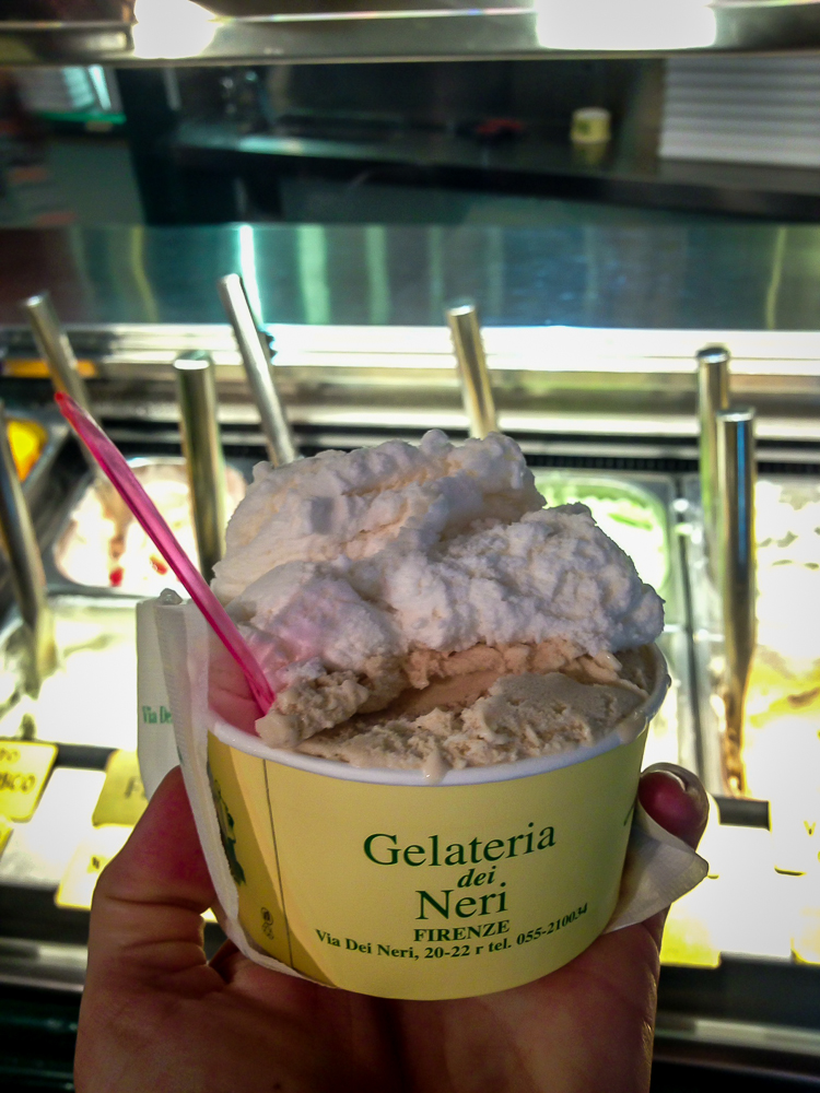 Vegan Travel Florence, Italy Part 1