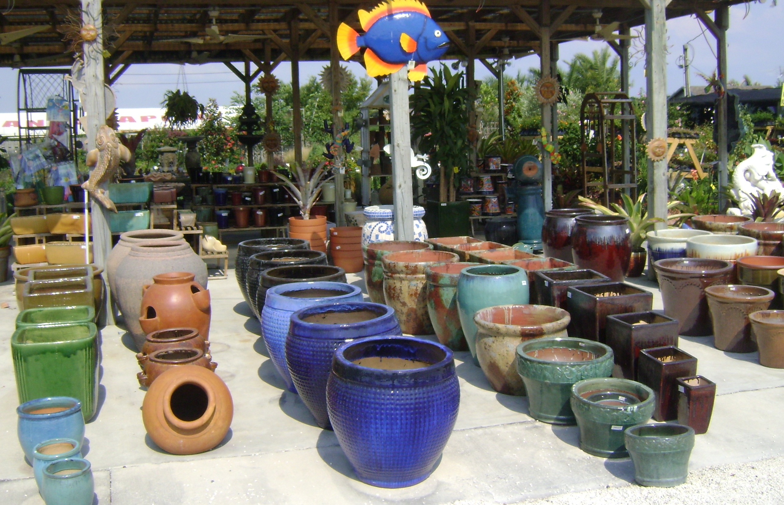 Tampa Plant and Tree Nursery Selection