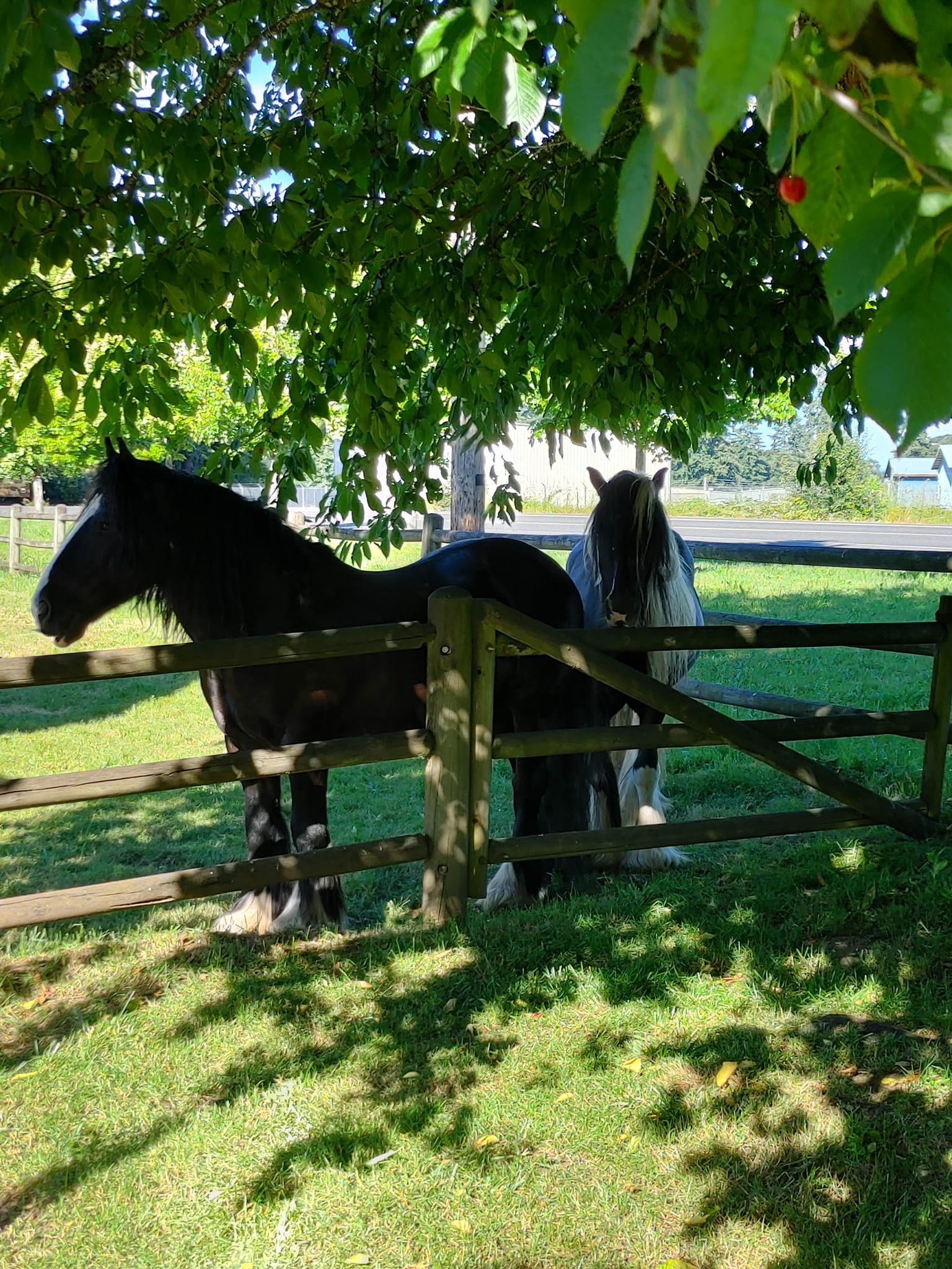 Scappoose Creek Inn Keep it Local