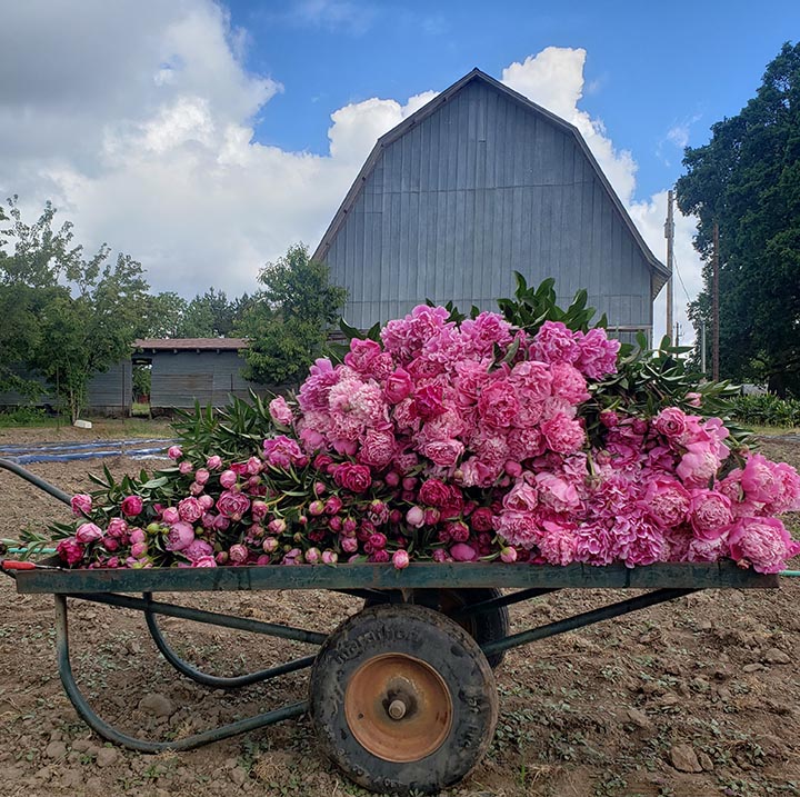 Crowley House Flower Farm Keep It Local Mac
