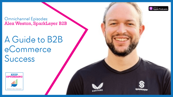 Alex seimanidis founder b2b wave