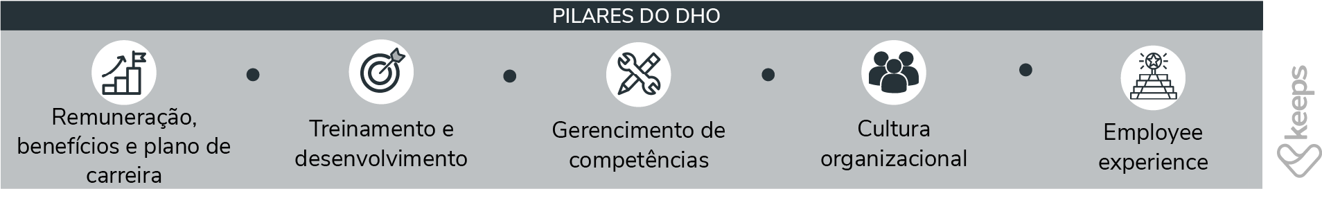 DHO descubra o que é, quais os seus pilares e importância