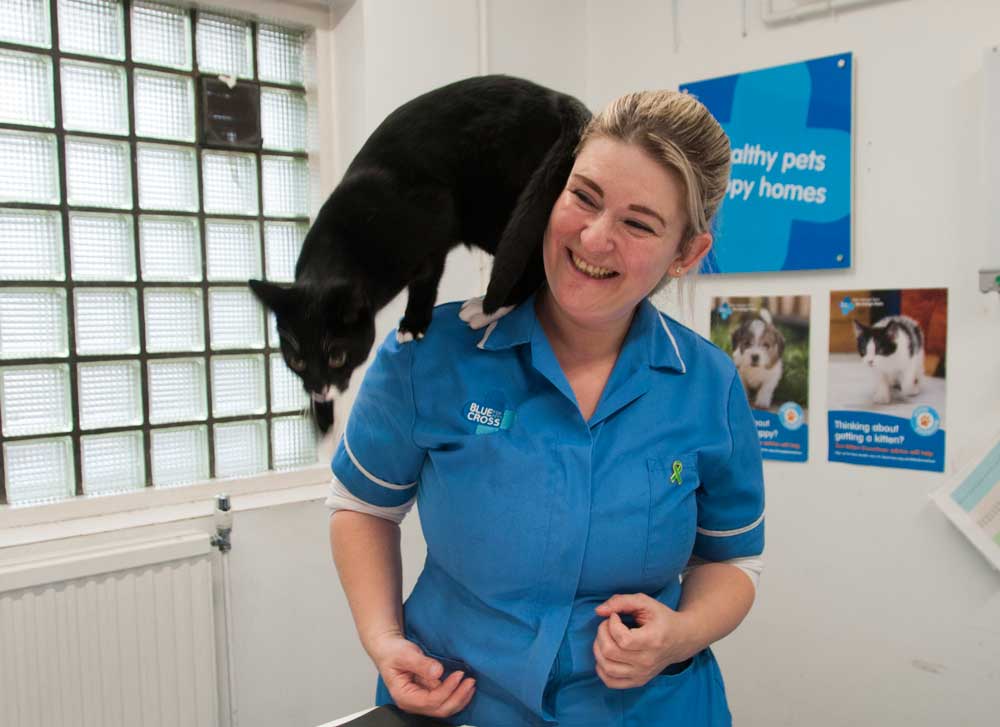 Blue Cross Hospital Hammersmith Passionate About Pets Keep Things Local