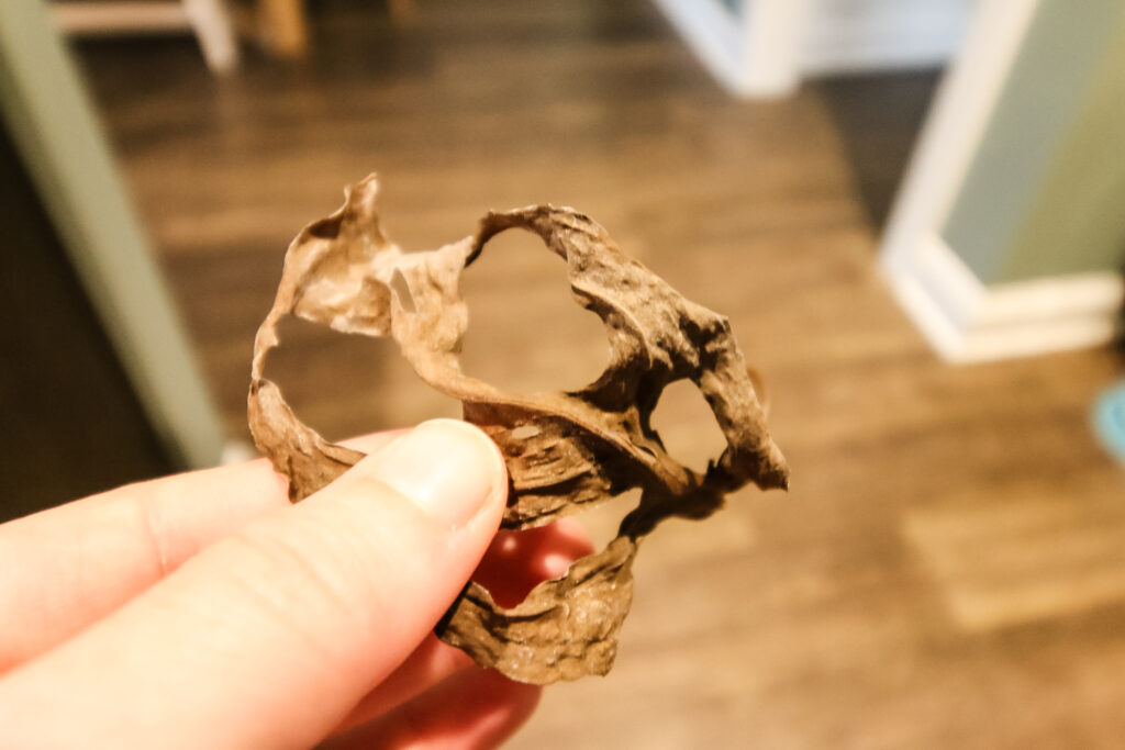 How to trim dead plant leaves Garden