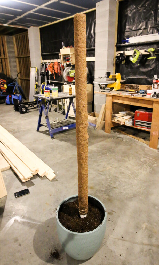 How to Keep a Moss Pole Moist keep your plants alive