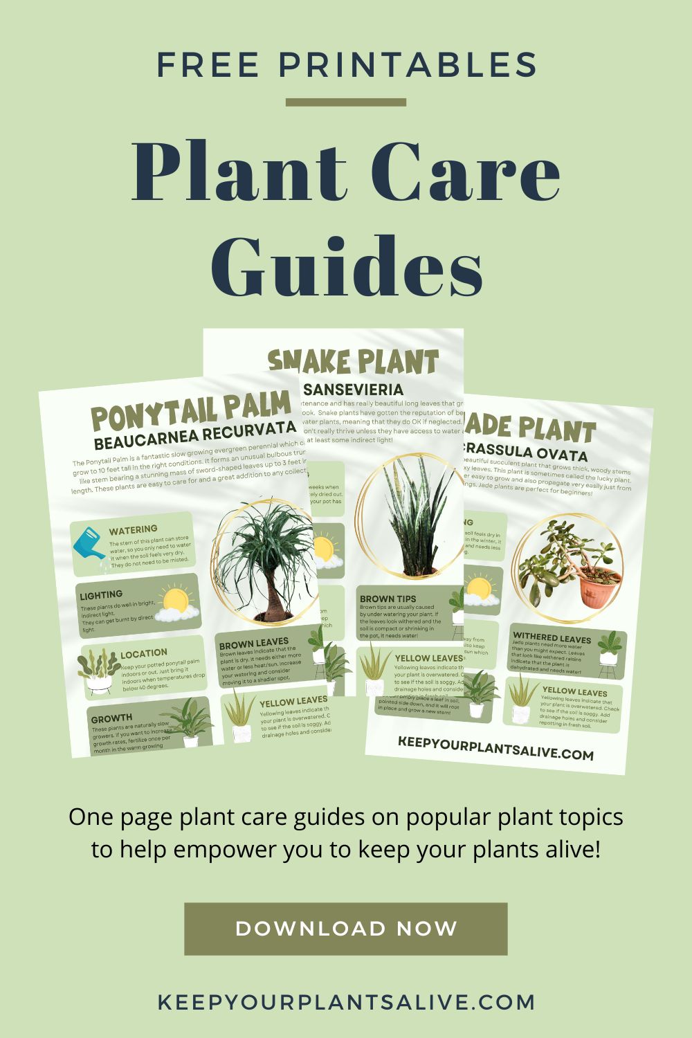 Printable Plant Care Guides keep your plants alive