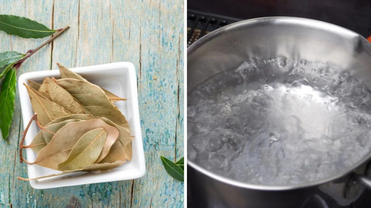 How To Make Bay Leaf Tea