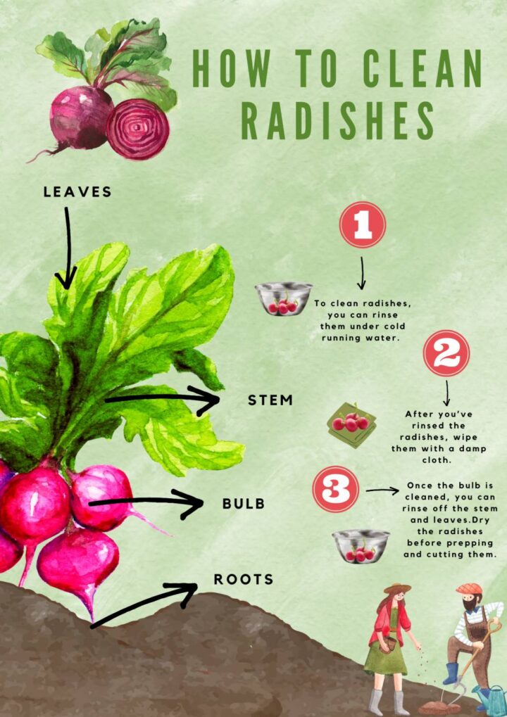 How To Cut Radishes 4 Different Ways With Preparation Tips