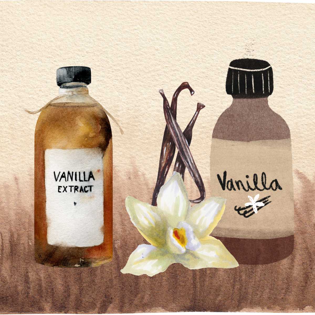 Vanilla Extract Substitute 12 Best Options With Substitution Ratios