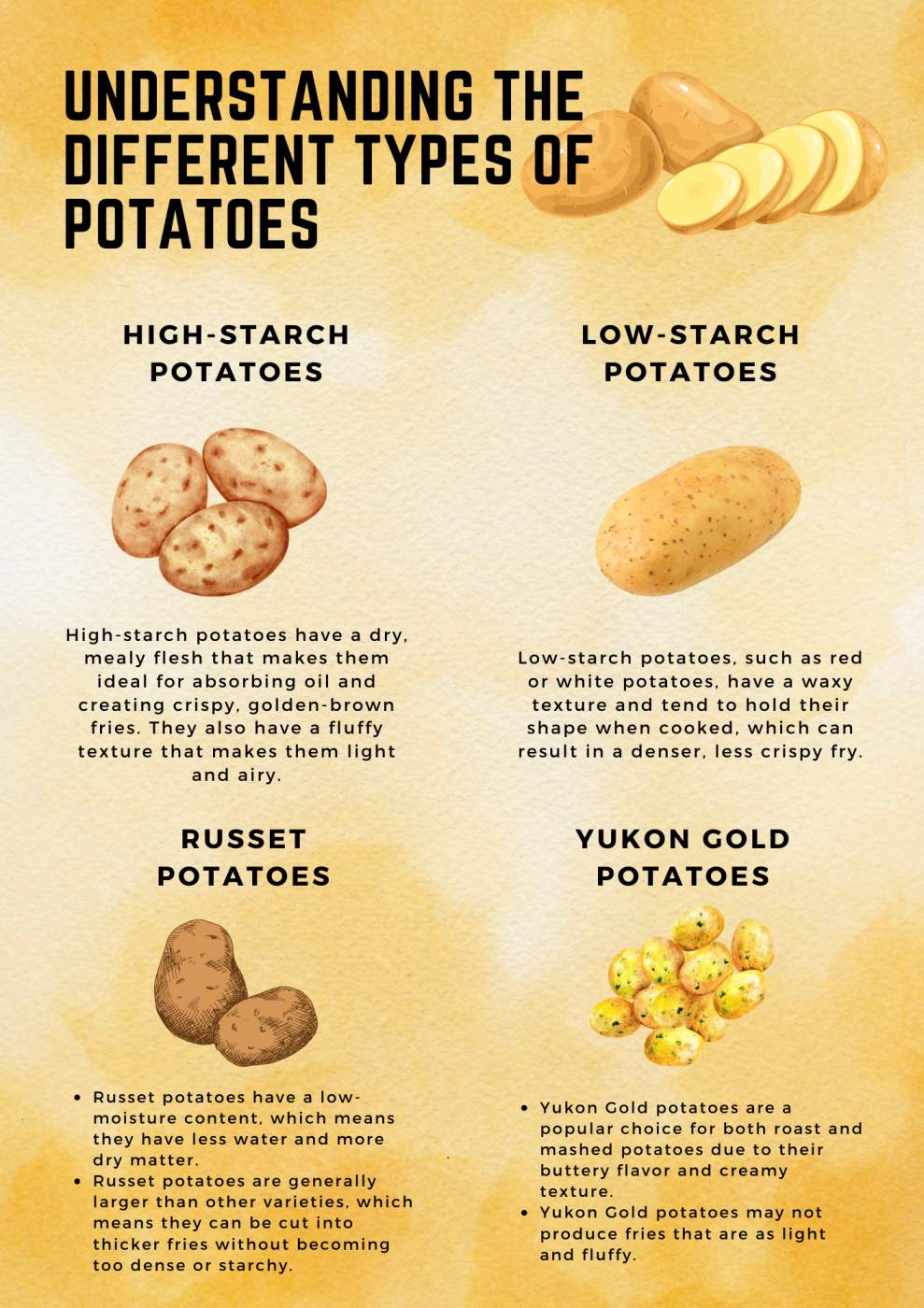 What are the Best Potato Types for Crispy French Fries?