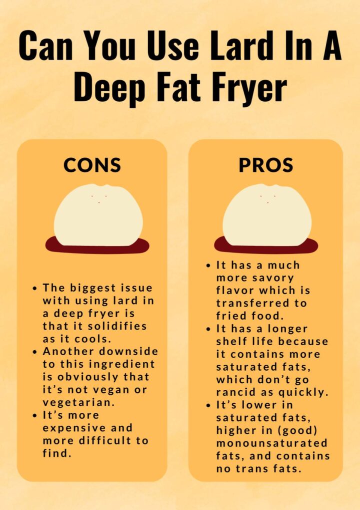 Can You Use Lard In A Deep Fat Fryer? The Best Guide