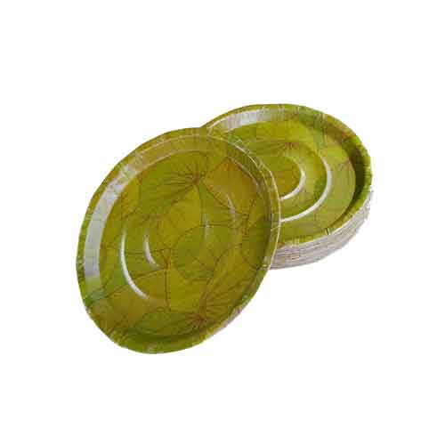 Buy Disposable Plates of Great Quality Online in India