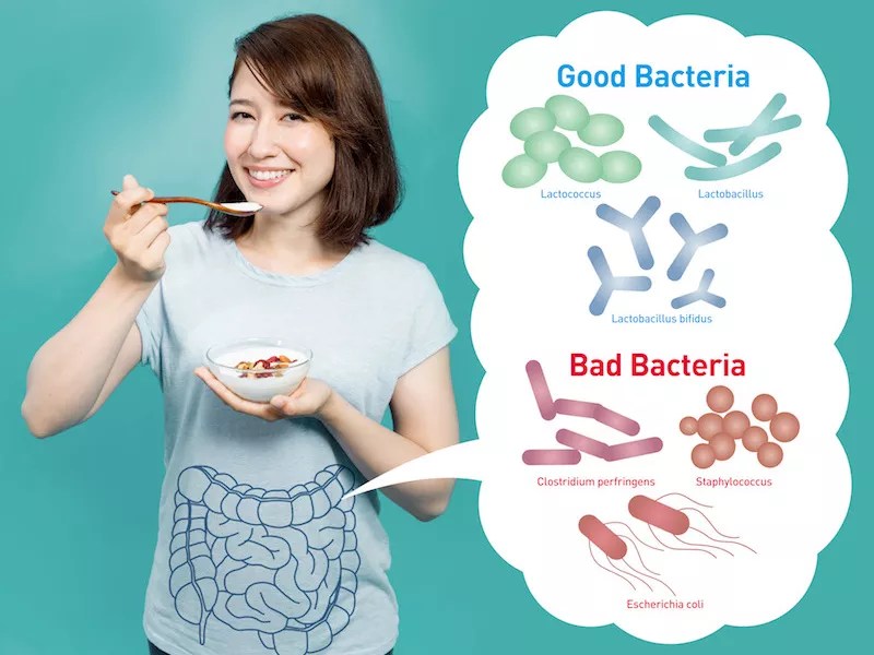 Good Bacteria in kefir for better gut health! KEFIRKO