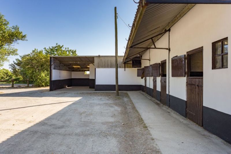 Stud Farm on c. 48 Acres at Kilmore Quay, Co. Wexford Kehoe & Assoc