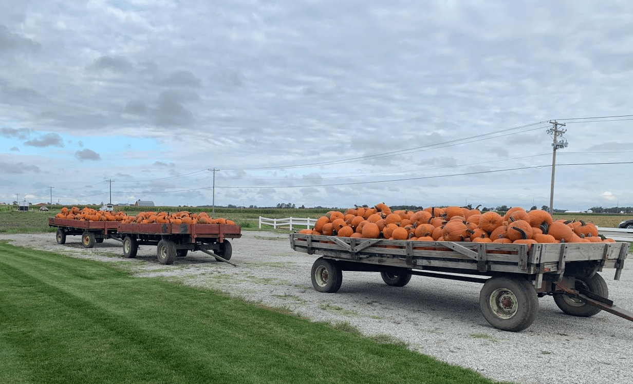 Keil's Produce and Greenhouse Toledo Garden Center & Farmers Market