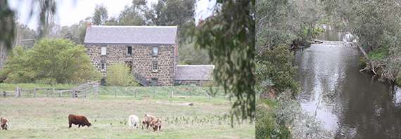Things to do around Newstead Keith Brien Wines