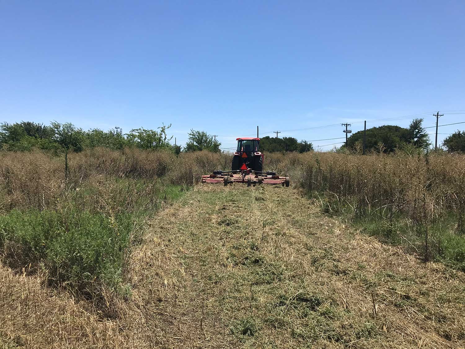 Safety Tips When Cutting Overgrown Grass Keith's Tractor Mowing