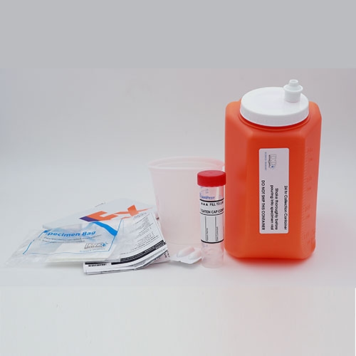 Doctor Data InHome Heavy Metal Urine Test Kit with Provocation