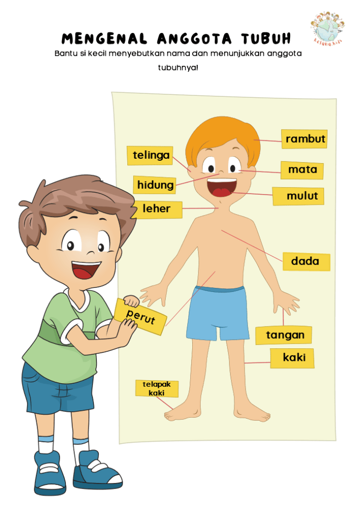 Worksheet Pertamaku PDF Untuk Anak Usia 2 Tahun [Printable]