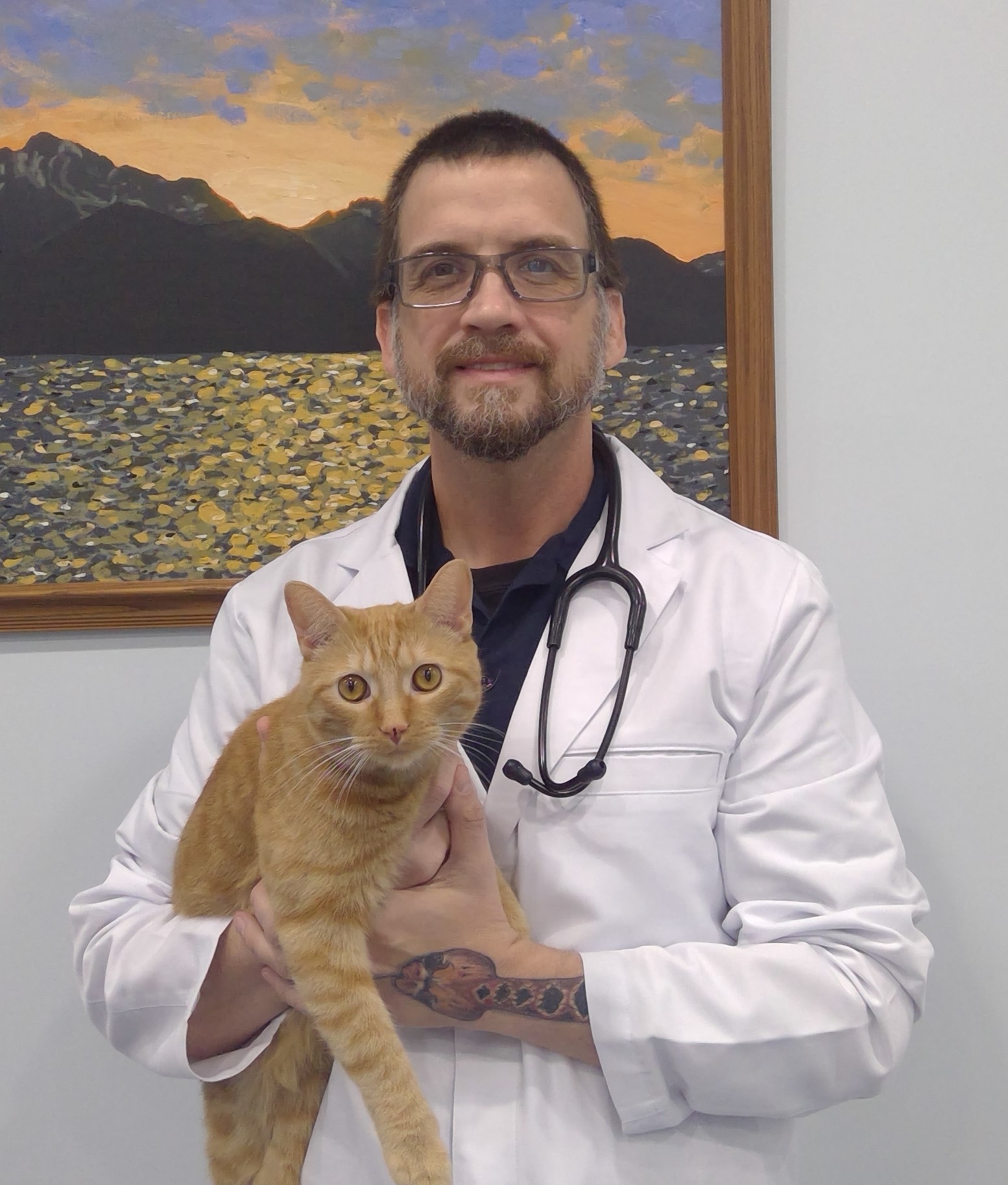 About Our Veterinary Hospital in Conway