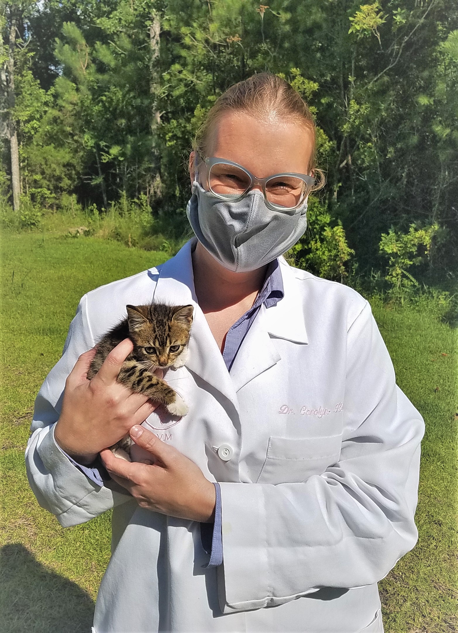 Gallery Kelley Animal Hospital