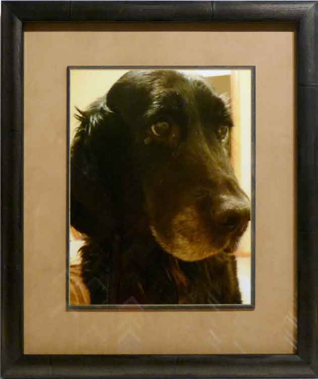 Picture Frames in Hudson, WI & Woodbury, MN Kelley Gallery Art & Frame