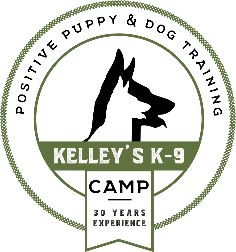 Home Kelley's K9 Camp