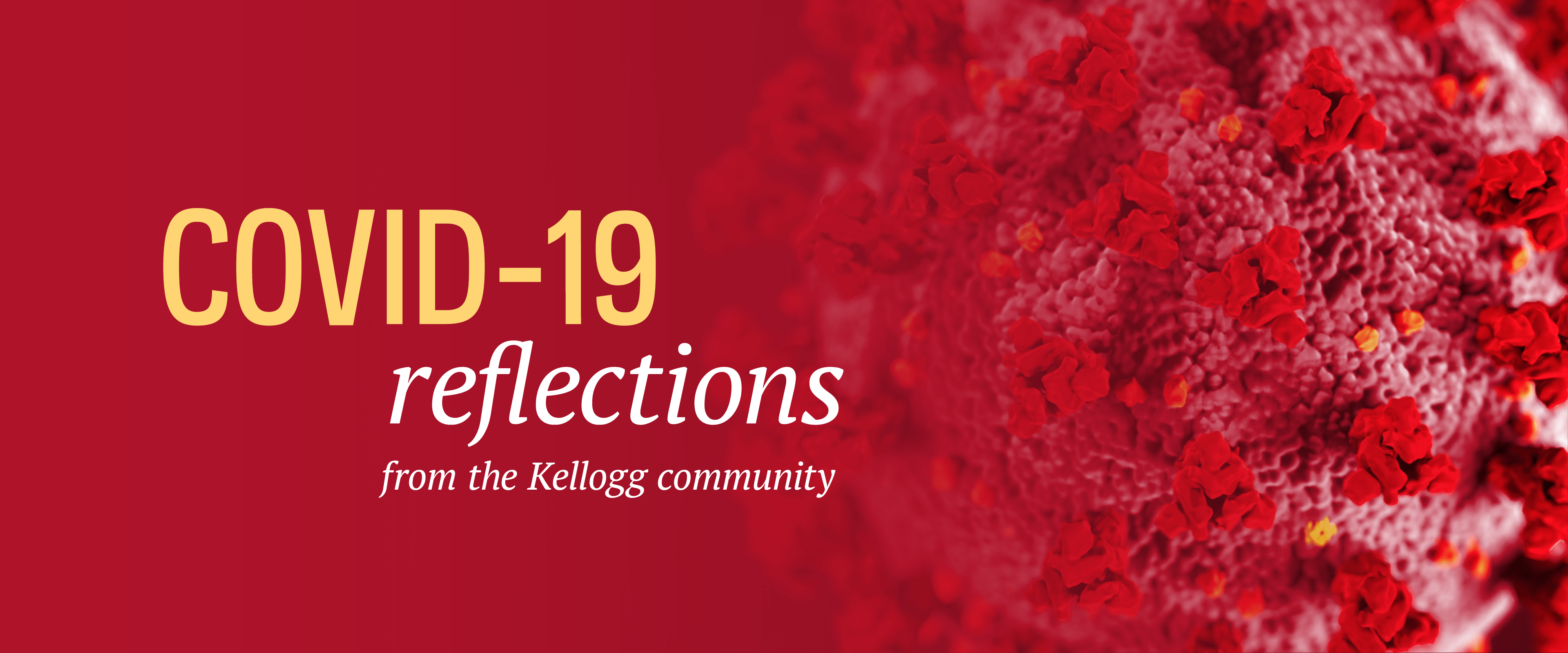 COVID19 Reflections Kellogg Institute For International Studies