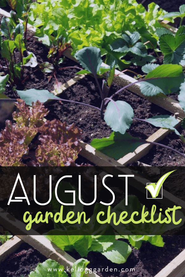 August Garden Checklist