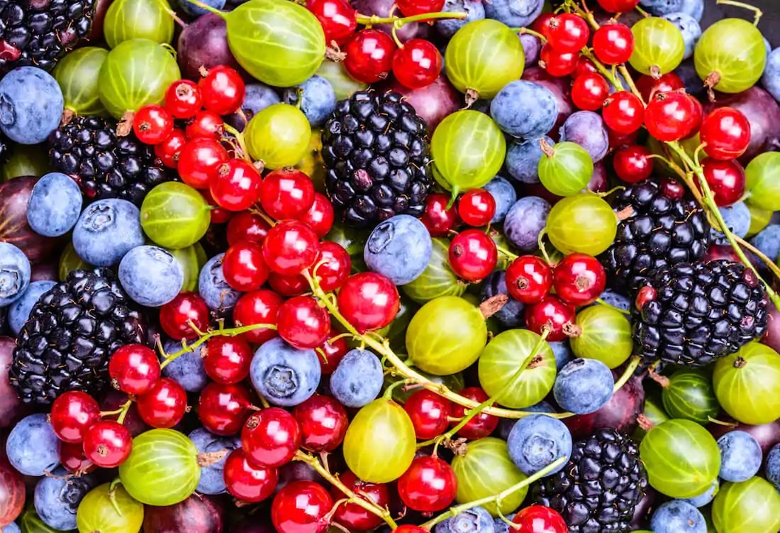 Most Popular Thornless Berries to Grow Kellogg Garden Organics™