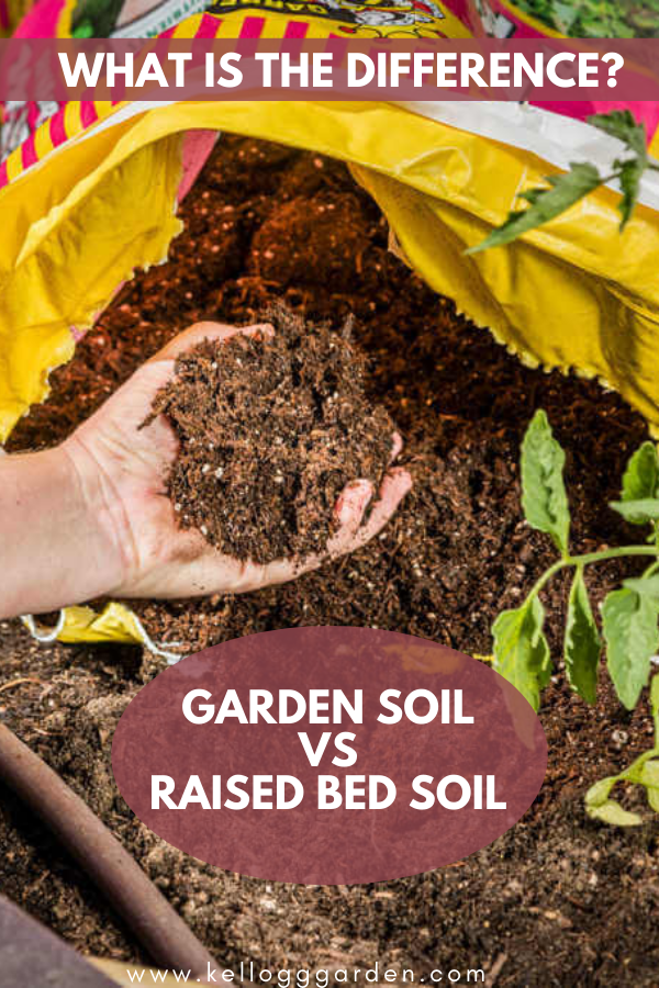 Potting Soil Vs Garden Soil Fasci Garden