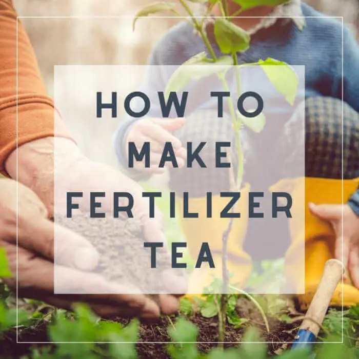 Making Fertilizer Tea Kellogg Garden Organics™