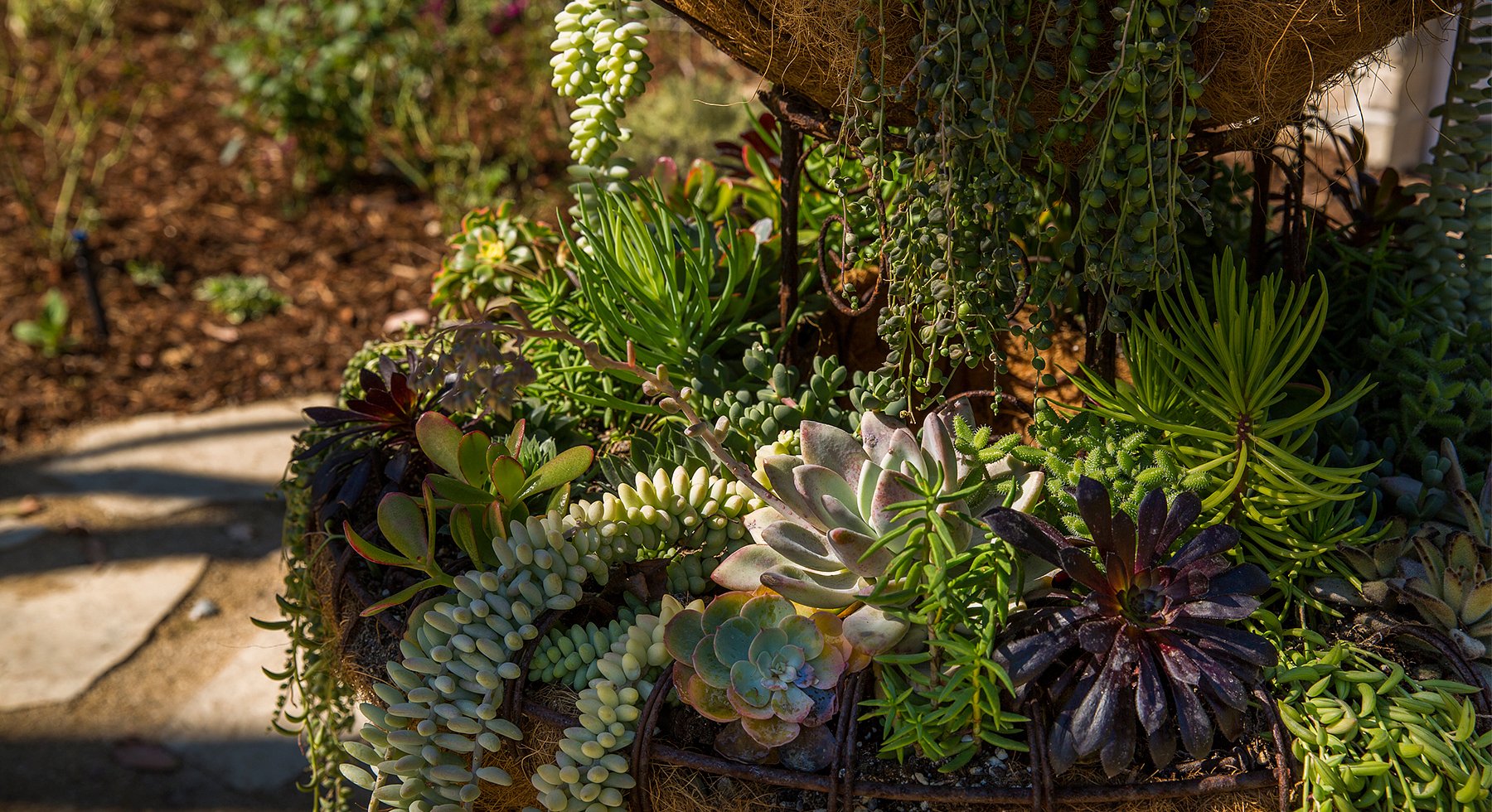 Container Garden Kellogg Garden Organics™