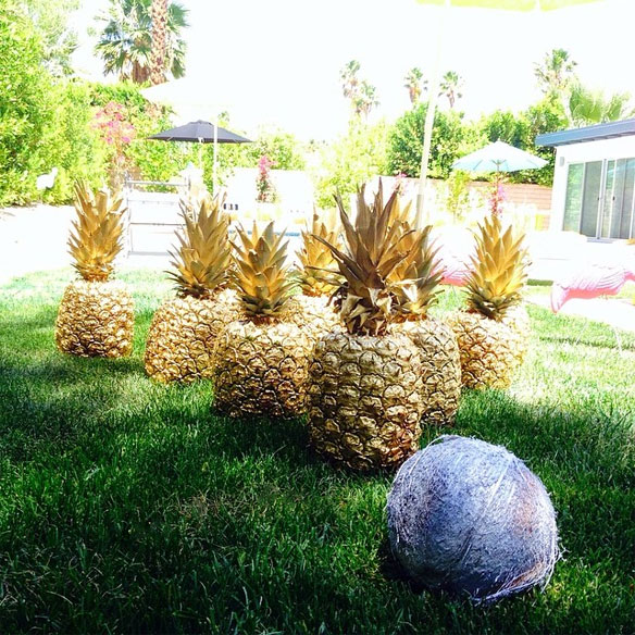 Pineapple Bowling Kelly Golightly