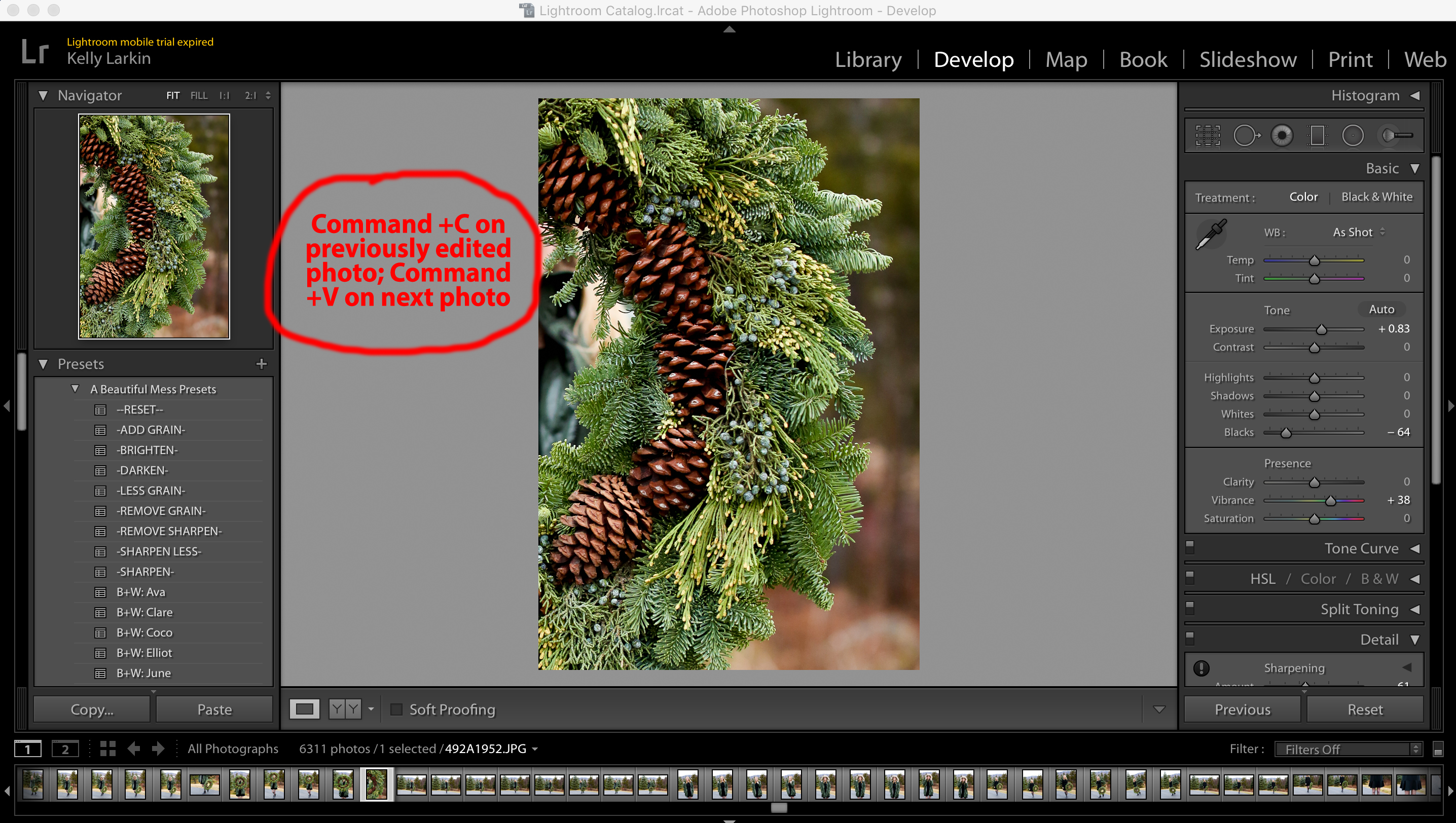 How I Edit Photos in Lightroom Kelly in the City