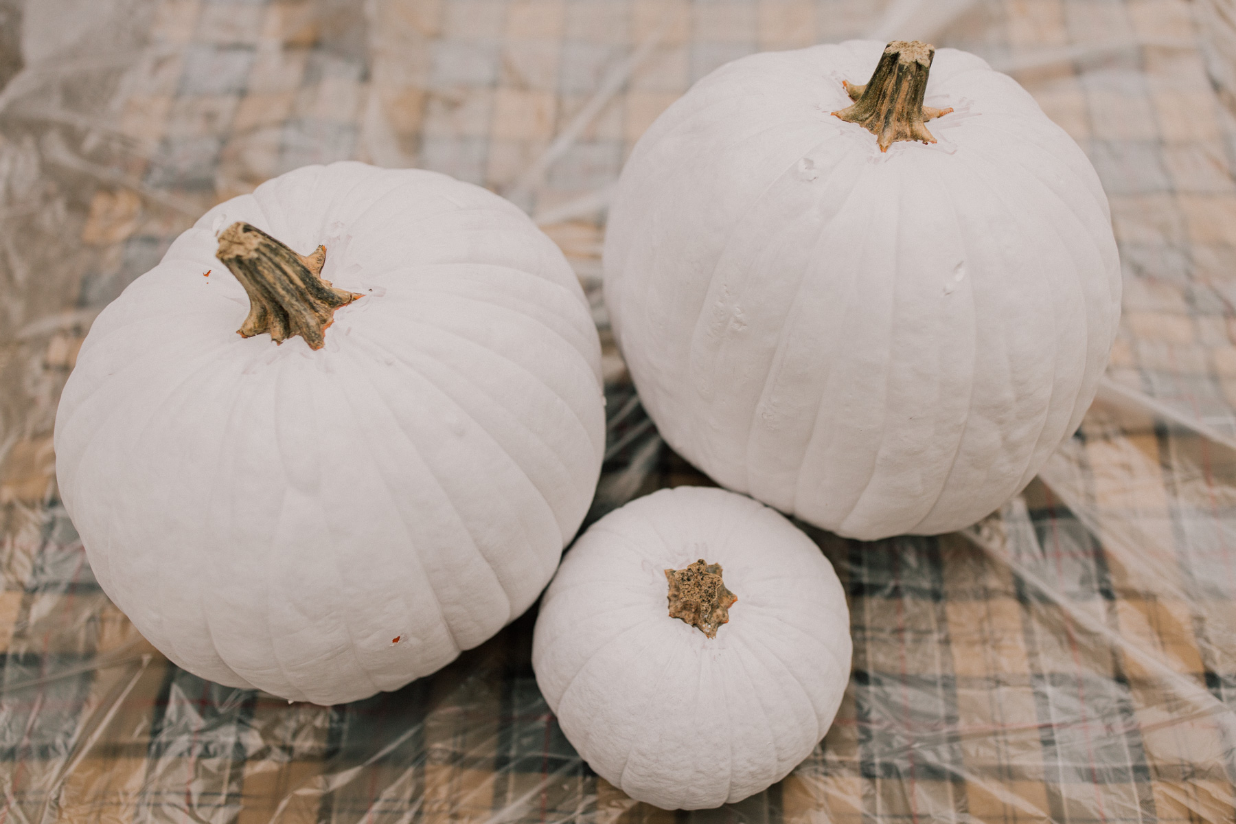 DIY Gingham Pumpkins Tutorial How To Paint Gingham Pumpkins