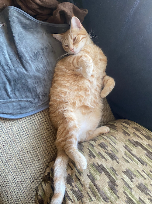 Kelly McCullough Author